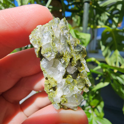 Epidote with Quartz Cluster #12N