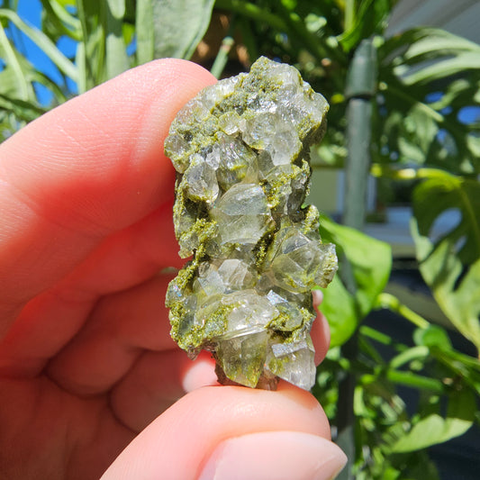 Epidote with Quartz Cluster #11o