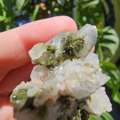 Epidote with Quartz Cluster #17S