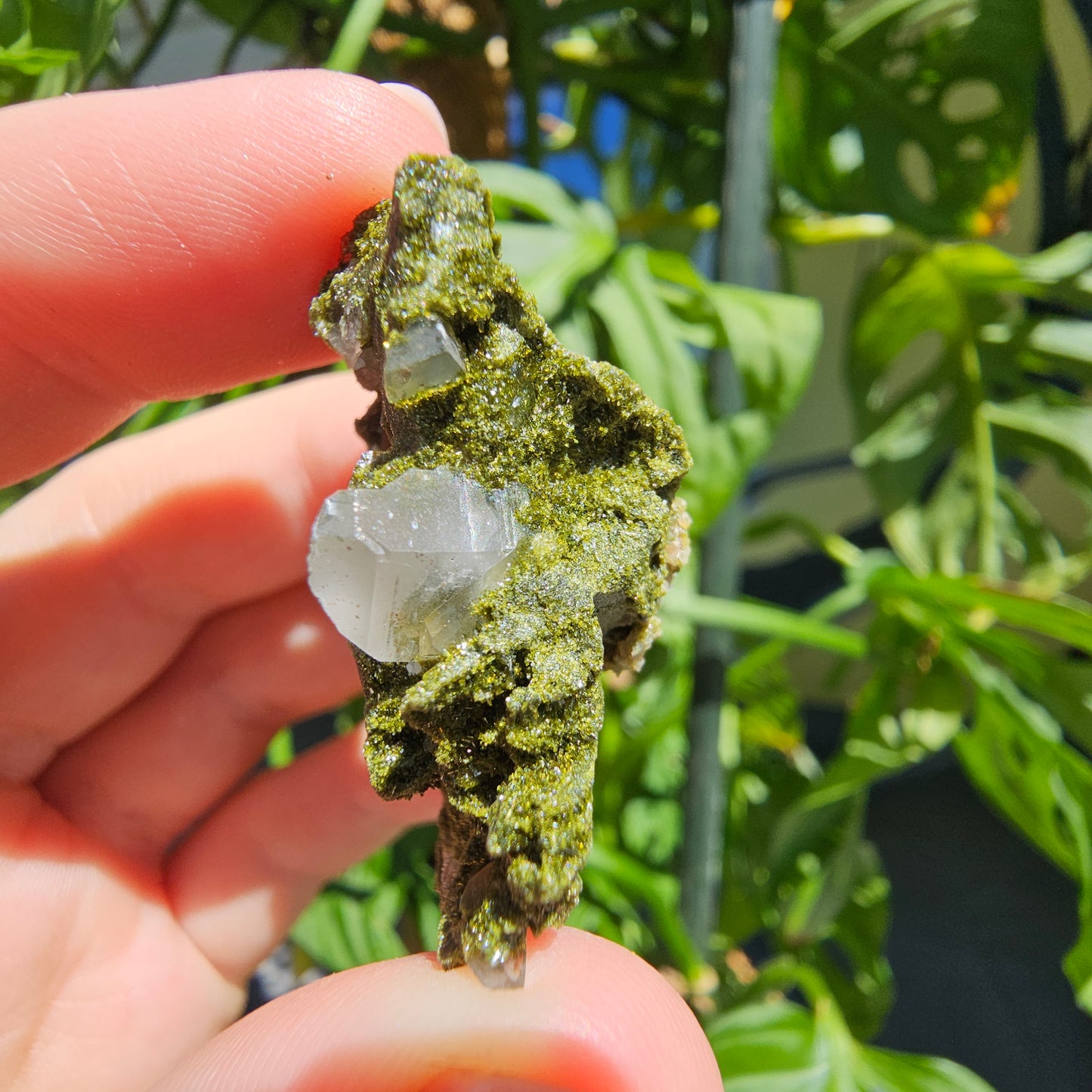 Epidote with Quartz Cluster #15T