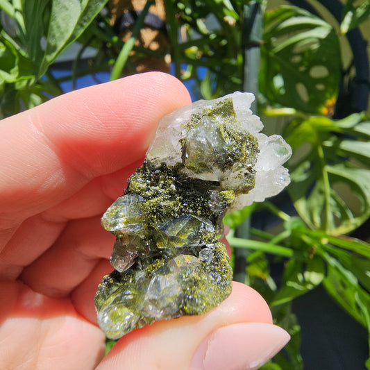 Epidote with Quartz Cluster #15U