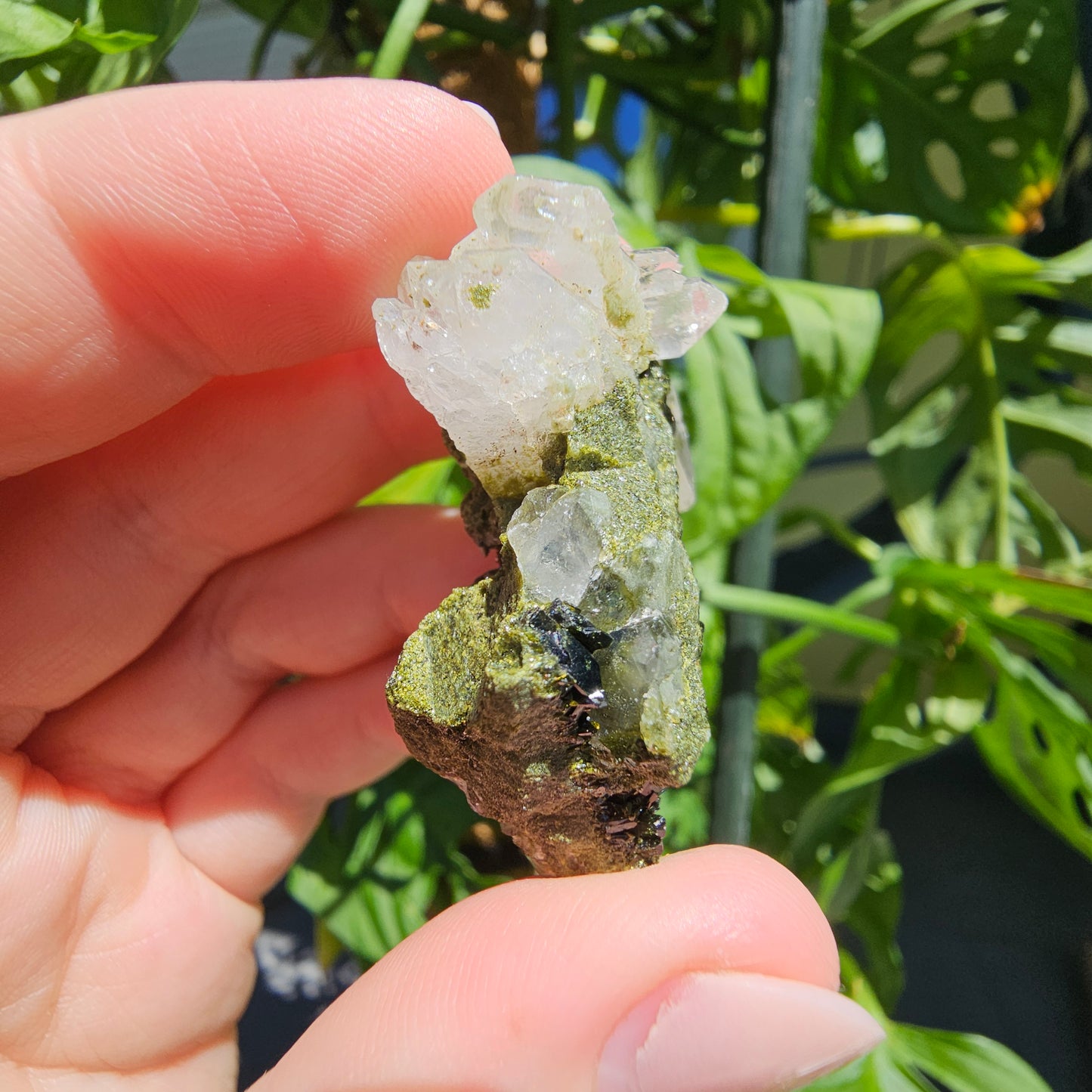 Epidote with Quartz Cluster #15U