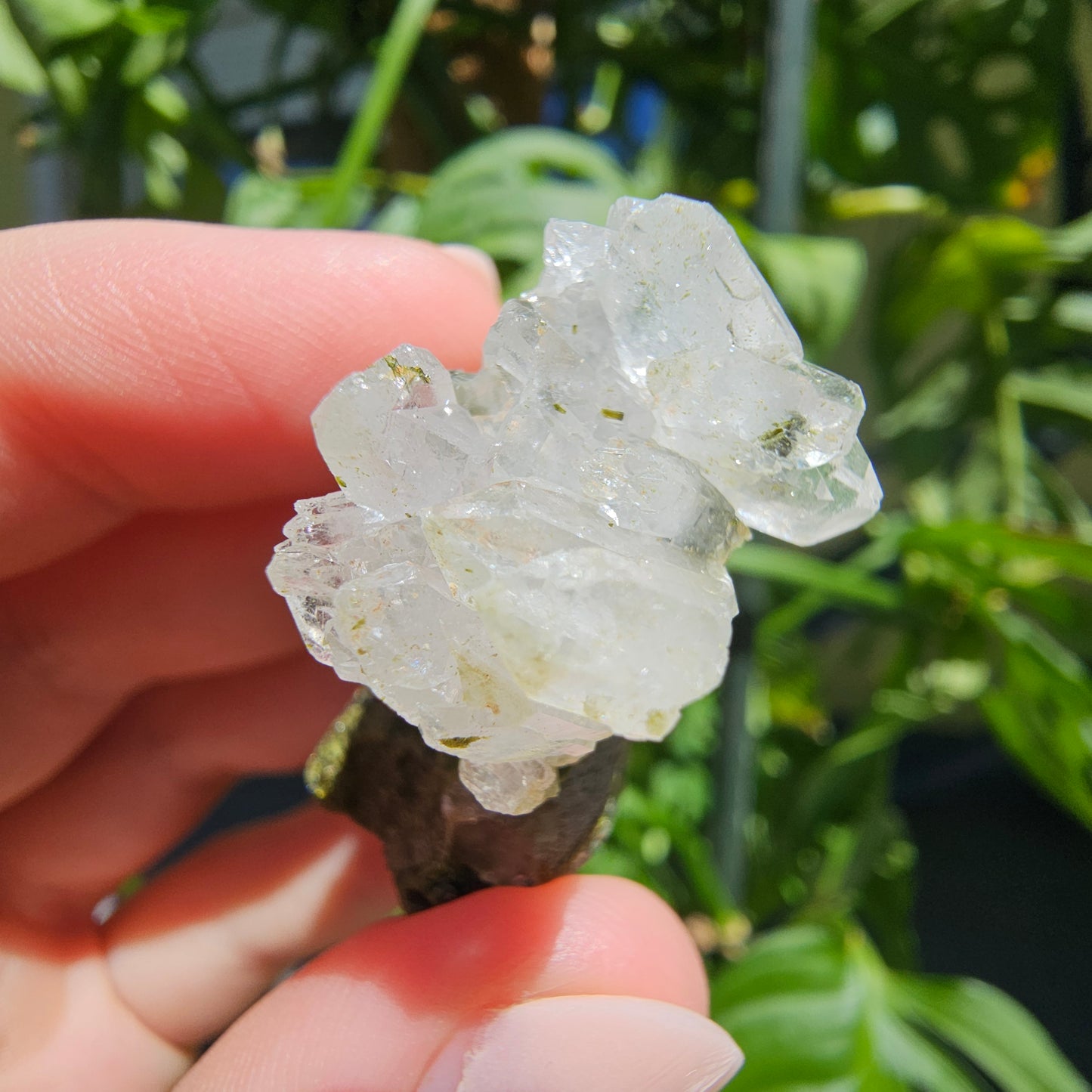 Epidote with Quartz Cluster #15U