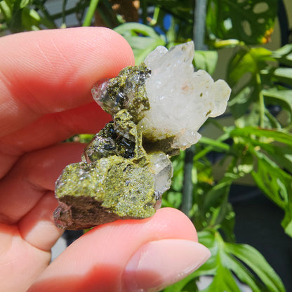 Epidote with Quartz Cluster #15U