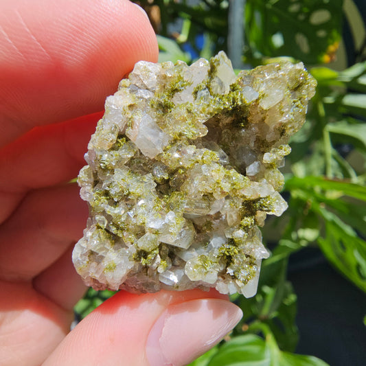 Epidote with Quartz Cluster #15X