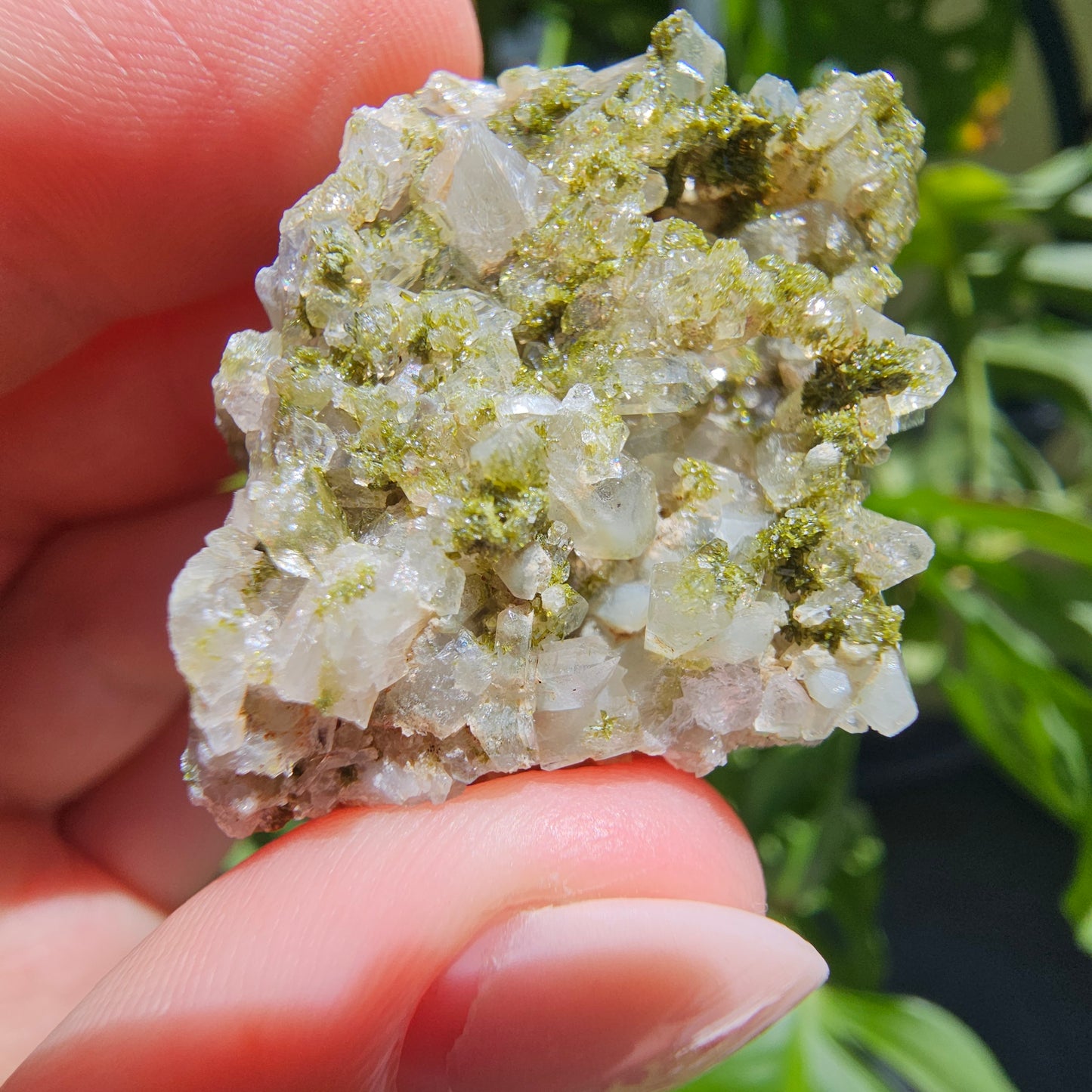 Epidote with Quartz Cluster #15X