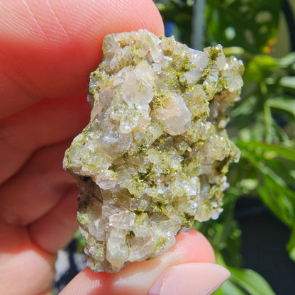 Epidote with Quartz Cluster #15X