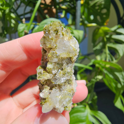 Epidote with Quartz Cluster #15X