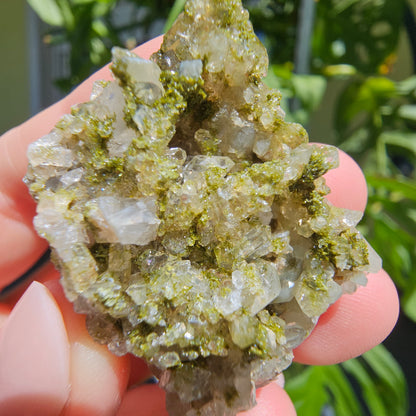 Epidote with Quartz Cluster #15X