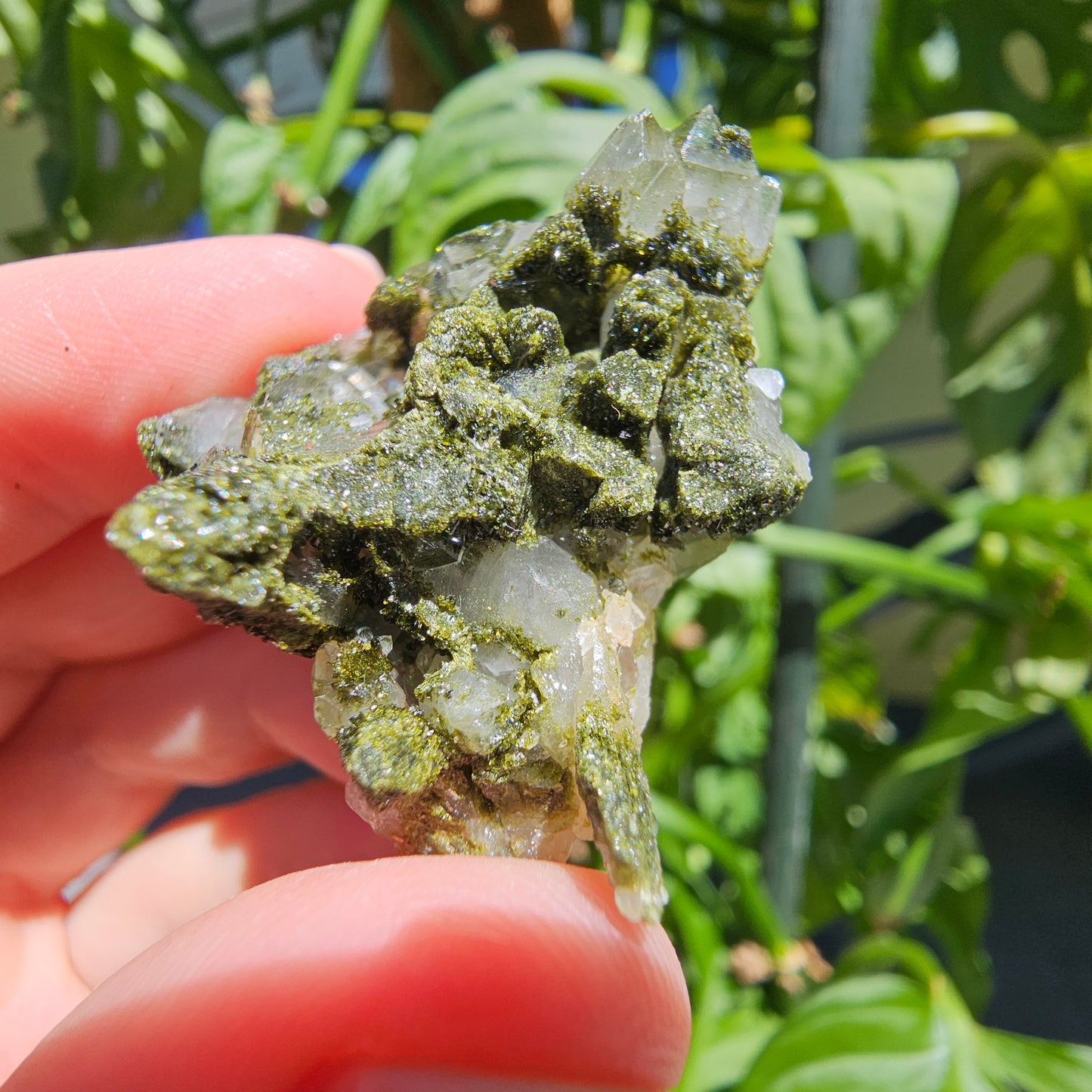 Epidote with Quartz Cluster #16Z