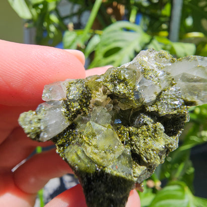 Epidote with Quartz Cluster #16Z