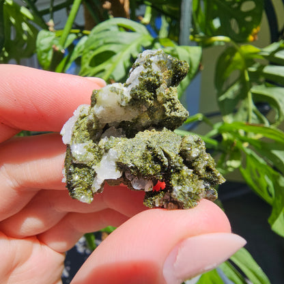 Epidote with Quartz Cluster #12a