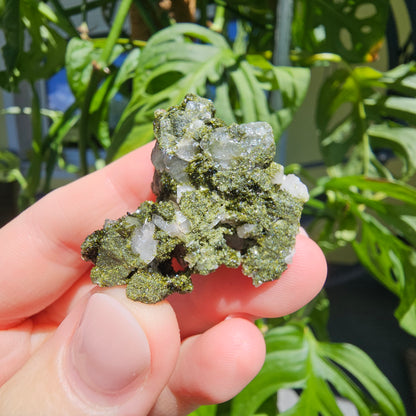 Epidote with Quartz Cluster #12a