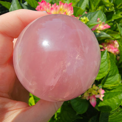 Rose Quartz Sphere #79B