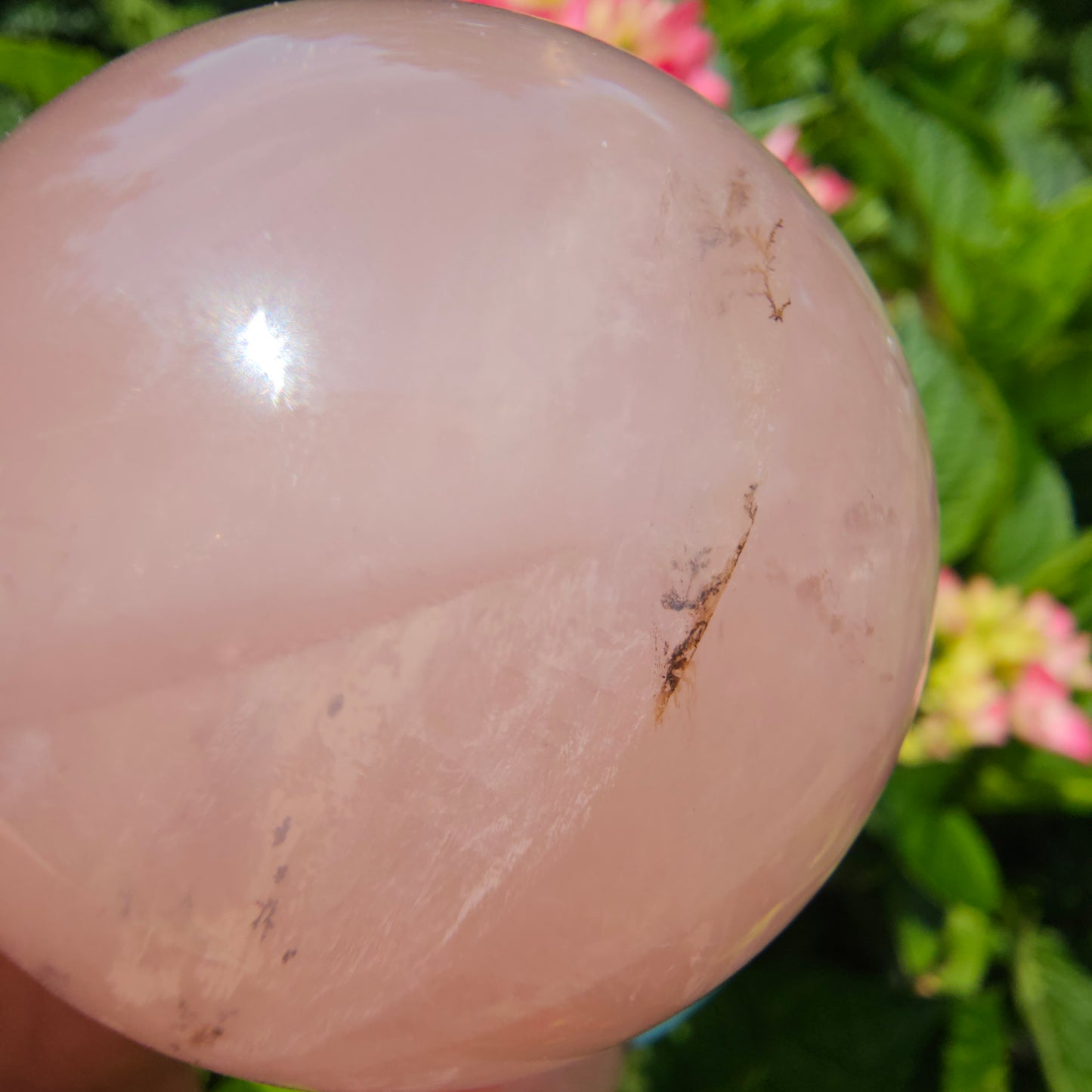 Rose Quartz Sphere #65D