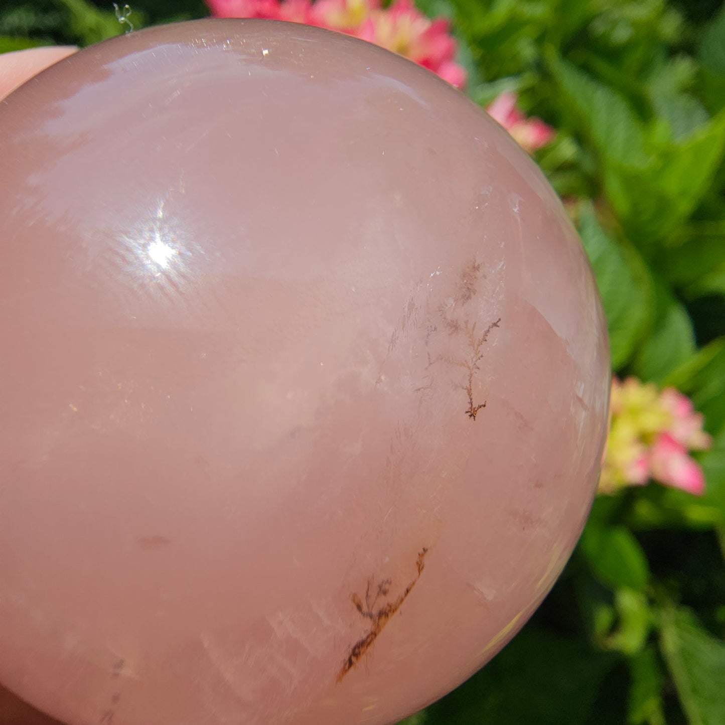 Rose Quartz Sphere #65D