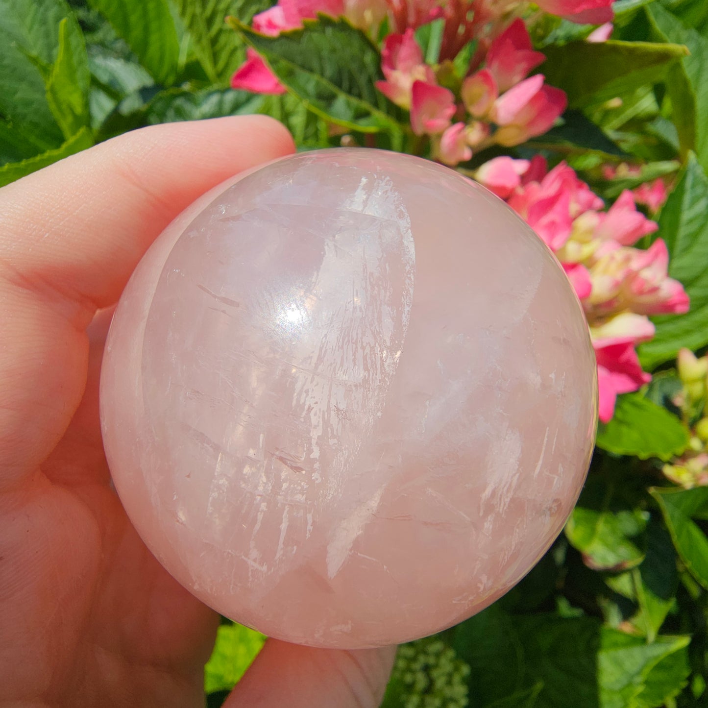 Rose Quartz Sphere #65D