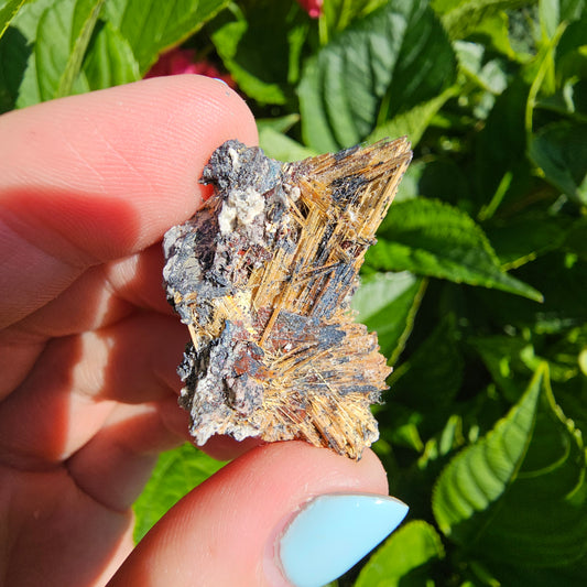 Rutile with Hematite - Novo Horizonte (#29F)