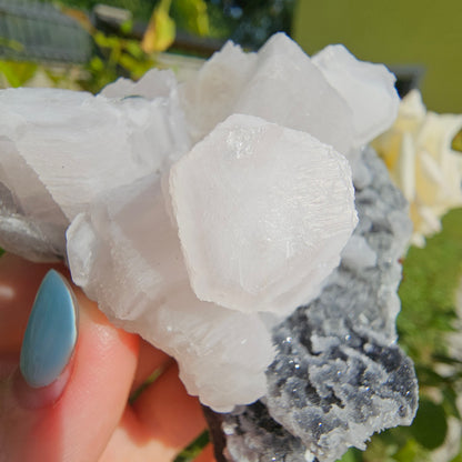 "Coin"/ "Pokerchip" Calcite with Green Fluorite (#92)