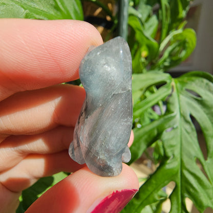 "Blue Tara" Quartz Cat (#25E)