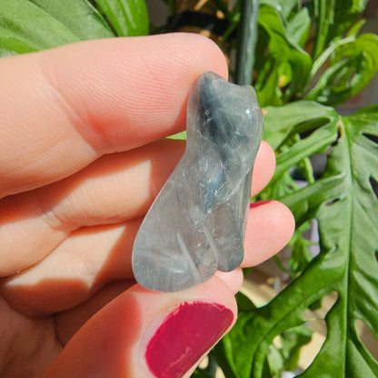 "Blue Tara" Quartz Cat (#25E)