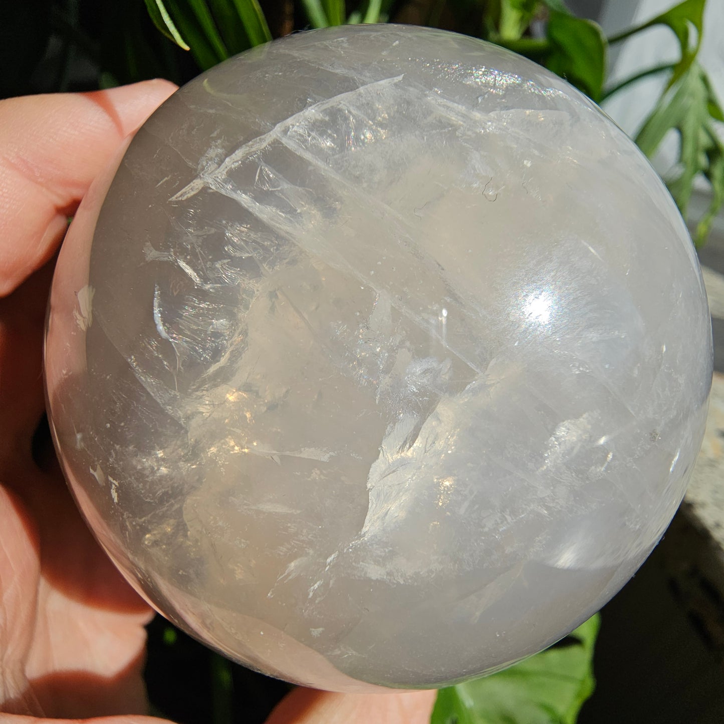 XL Blue Rose Quartz Sphere