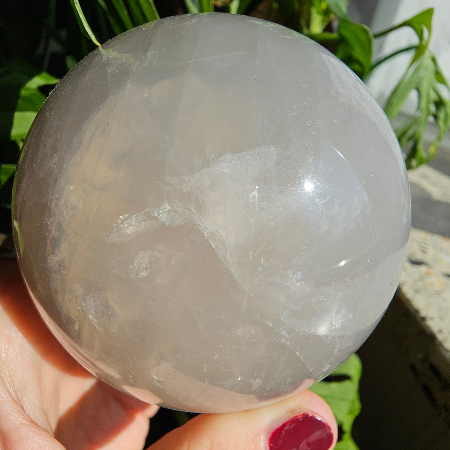 XL Blue Rose Quartz Sphere