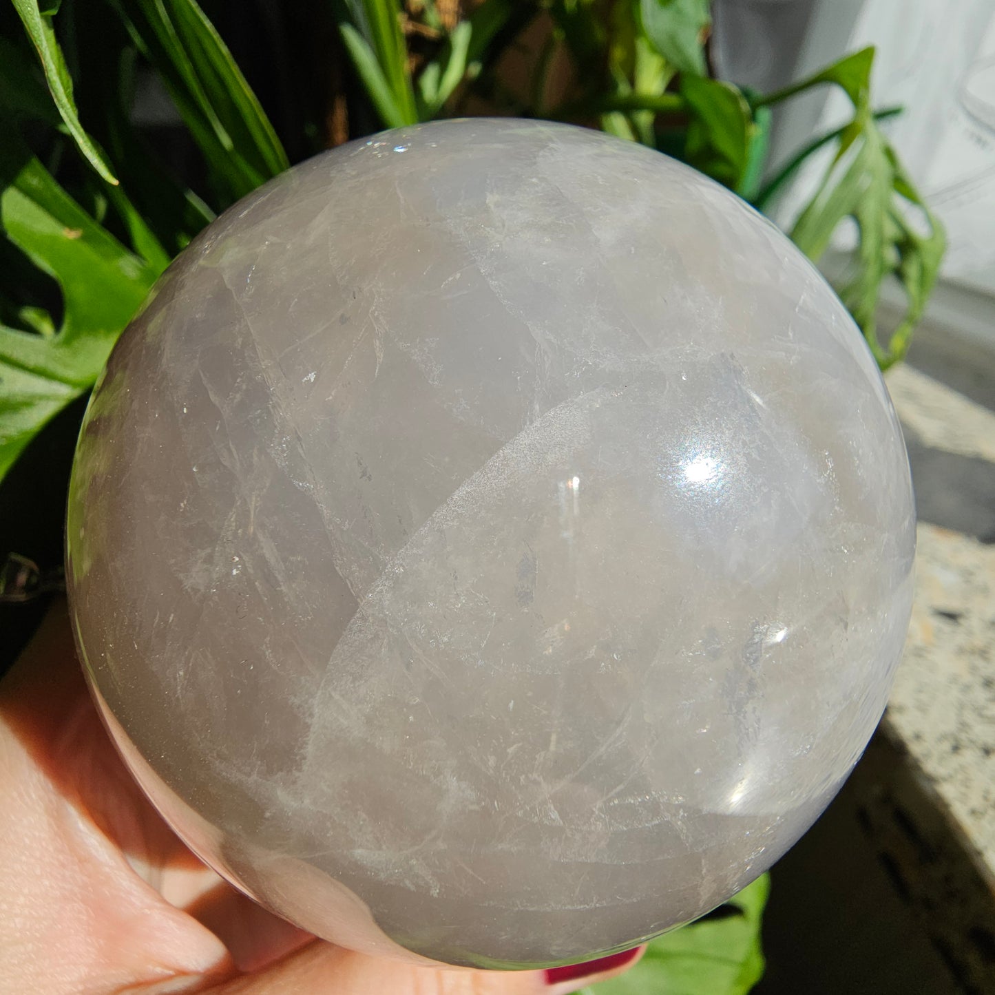 XL Blue Rose Quartz Sphere