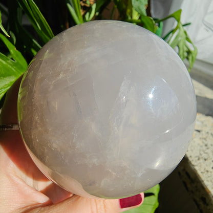 XL Blue Rose Quartz Sphere