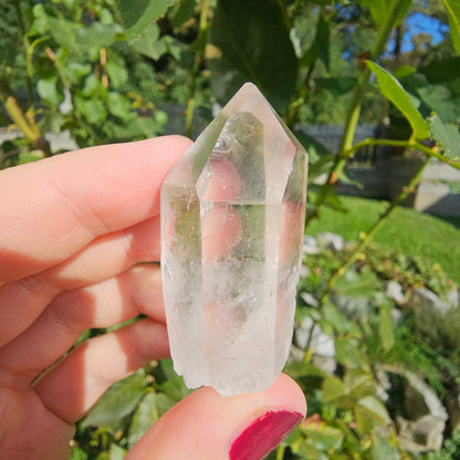 Lemurian Quartz Point #13B