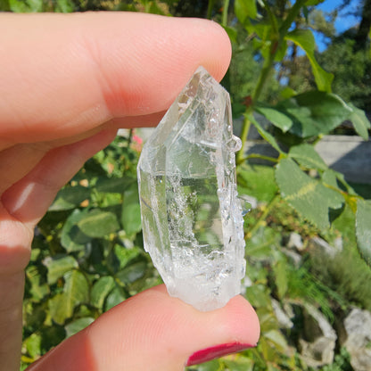 Lemurian Quartz Point #9D