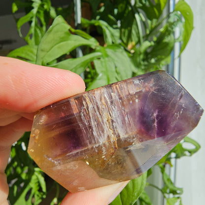 "Dreamcoat Lemurian" Quartz Freeform #45A