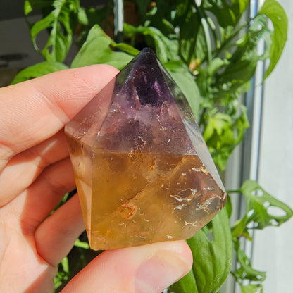 "Dreamcoat Lemurian" Quartz Freeform #45A