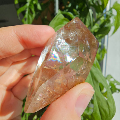 "Dreamcoat Lemurian" Quartz Freeform #38B