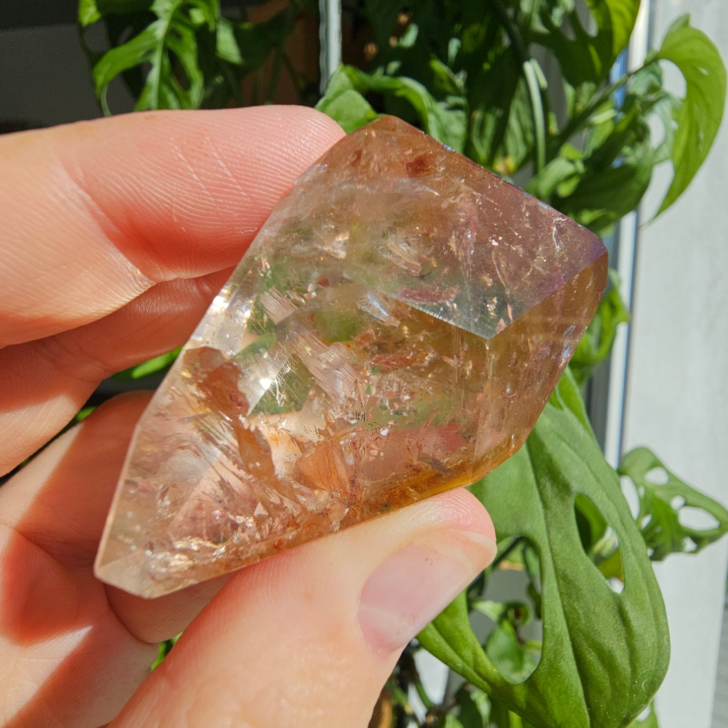 "Dreamcoat Lemurian" Quartz Freeform #38B