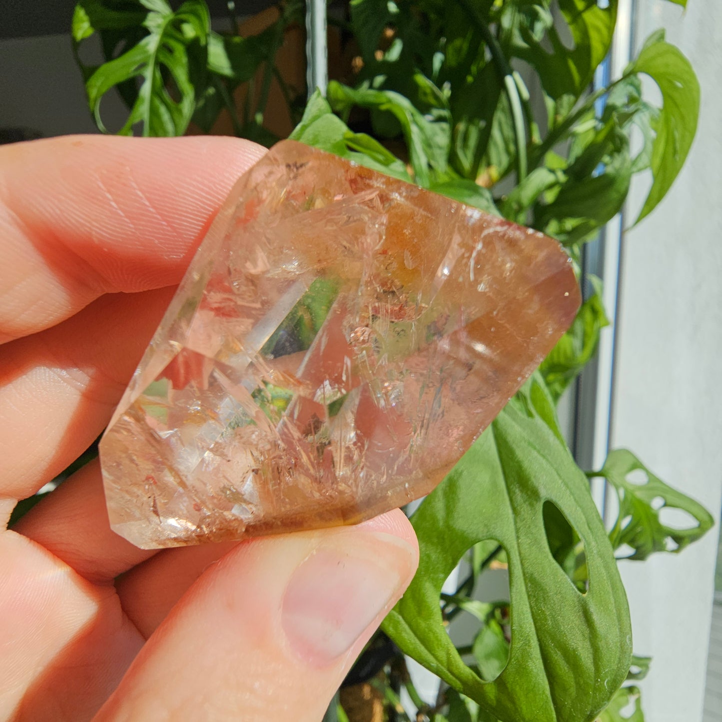 "Dreamcoat Lemurian" Quartz Freeform #38B