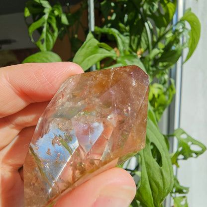 "Dreamcoat Lemurian" Quartz Freeform #38B