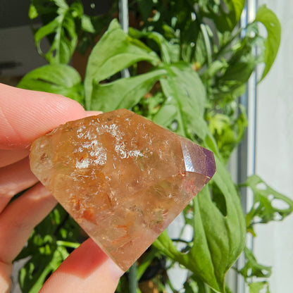 "Dreamcoat Lemurian" Quartz Freeform #38B