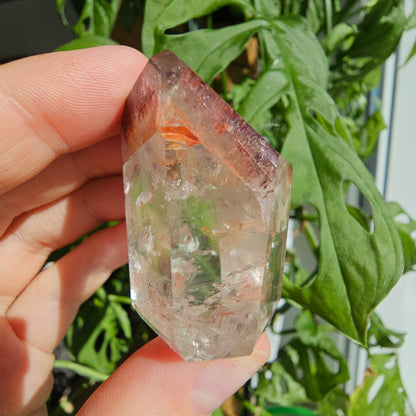 "Dreamcoat Lemurian" Quartz Tower #37C