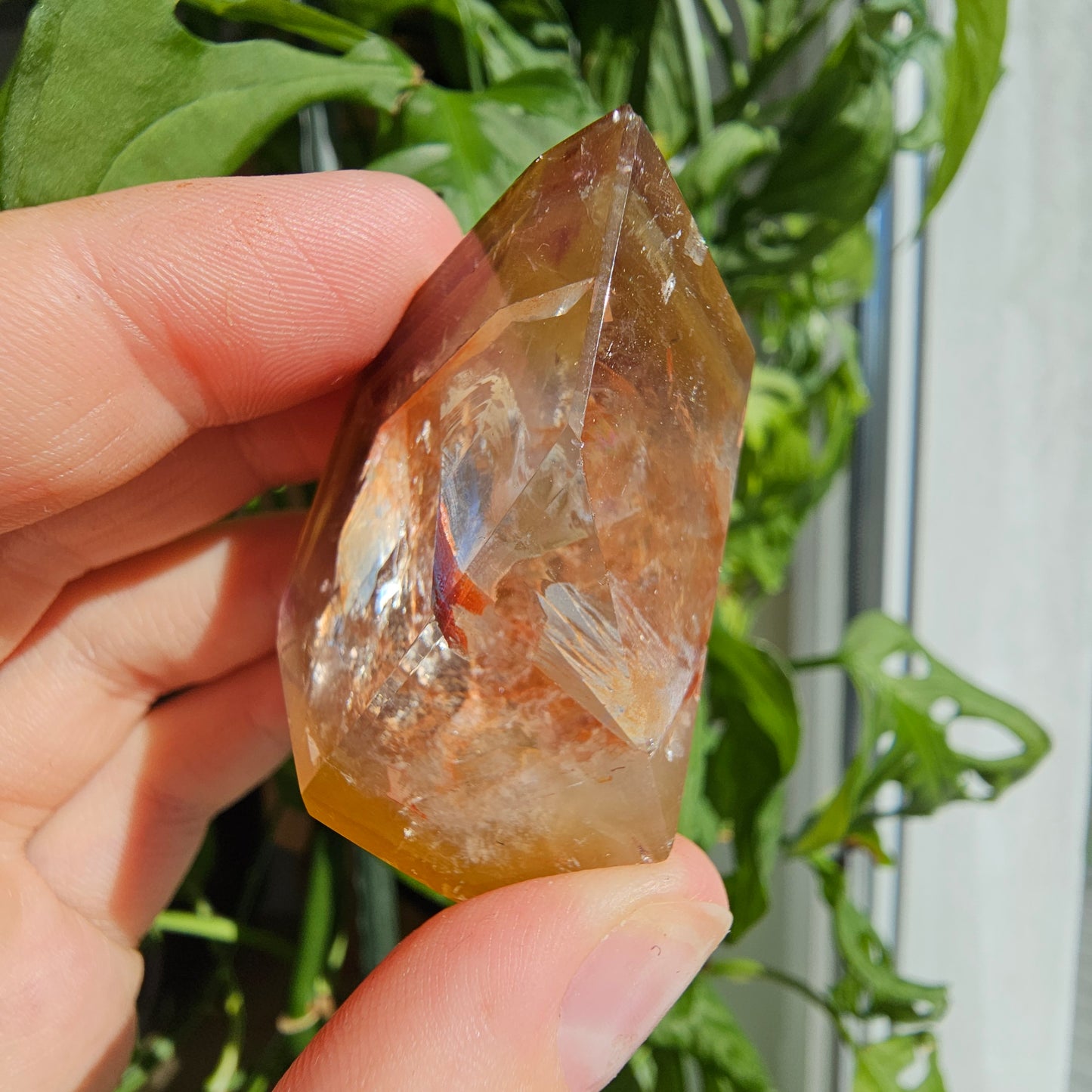 "Dreamcoat Lemurian" Quartz Freeform #33F