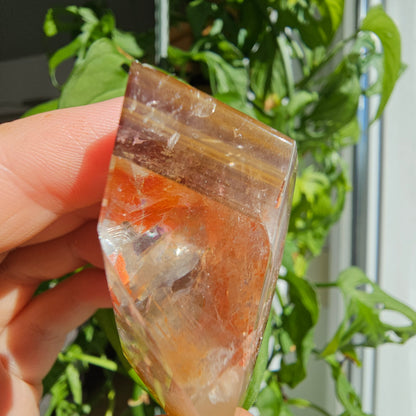 "Dreamcoat Lemurian" Quartz Freeform #33F