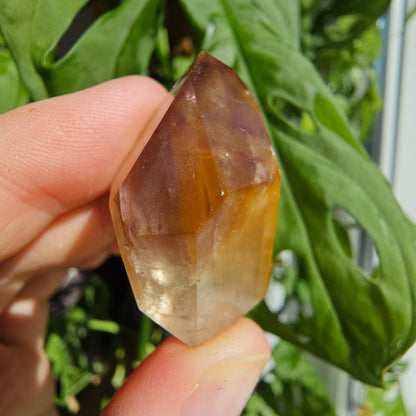 "Dreamcoat Lemurian" Quartz Tower #16G