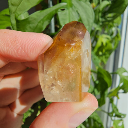 "Dreamcoat Lemurian" Quartz Tower #16G