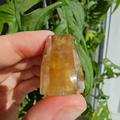 "Dreamcoat Lemurian" Quartz Tower #16G