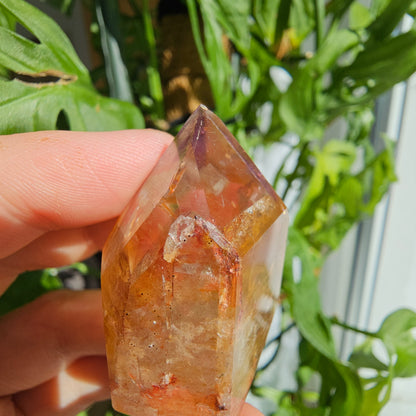 "Dreamcoat Lemurian" Quartz Tower #26i