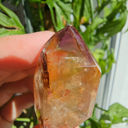 "Dreamcoat Lemurian" Quartz Tower #26i