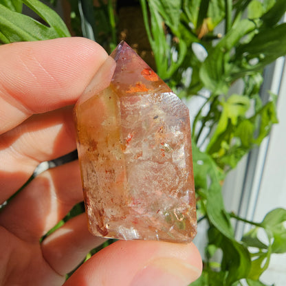 "Dreamcoat Lemurian" Quartz Tower #26i