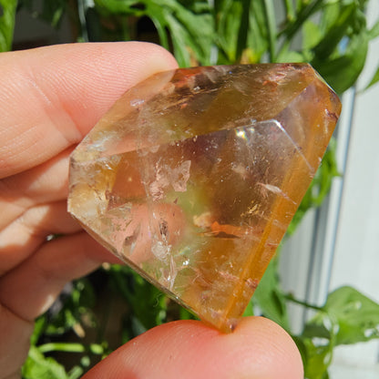 "Dreamcoat Lemurian" Quartz Freeform #26J