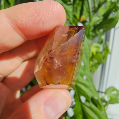 "Dreamcoat Lemurian" Quartz Freeform #26J