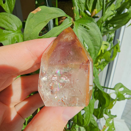 "Dreamcoat Lemurian" Quartz Tower #32L